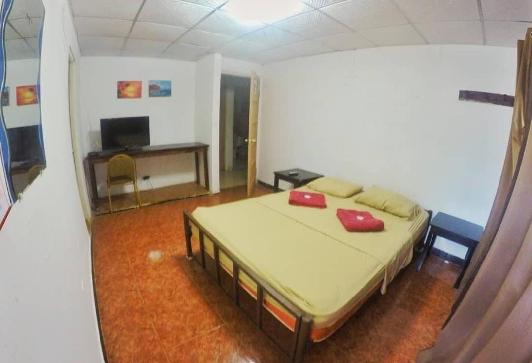 דויד Bambu Hostel מראה חיצוני תמונה