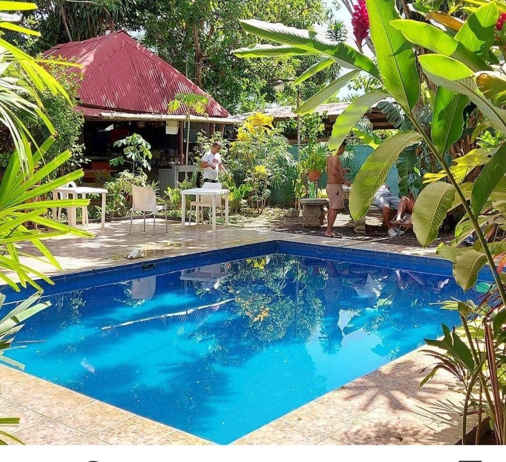 דויד Bambu Hostel מראה חיצוני תמונה