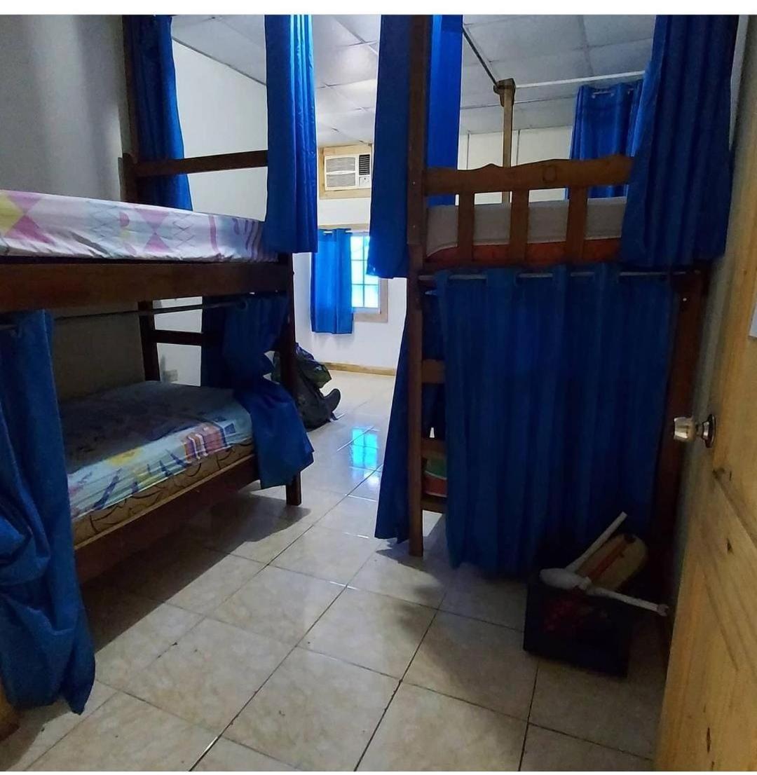 דויד Bambu Hostel מראה חיצוני תמונה