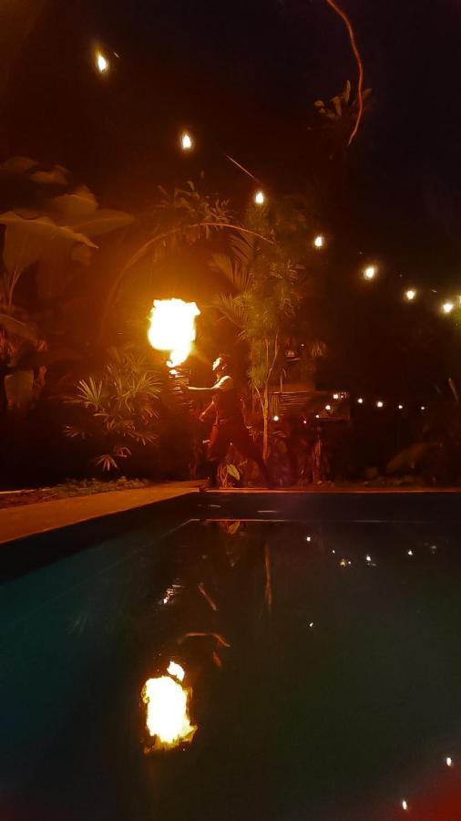 דויד Bambu Hostel מראה חיצוני תמונה