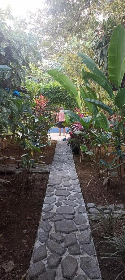 דויד Bambu Hostel מראה חיצוני תמונה