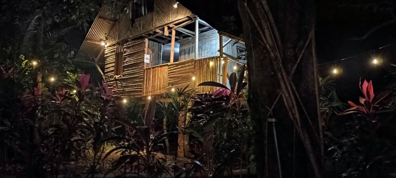 דויד Bambu Hostel מראה חיצוני תמונה