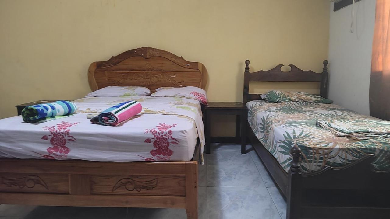 דויד Bambu Hostel מראה חיצוני תמונה