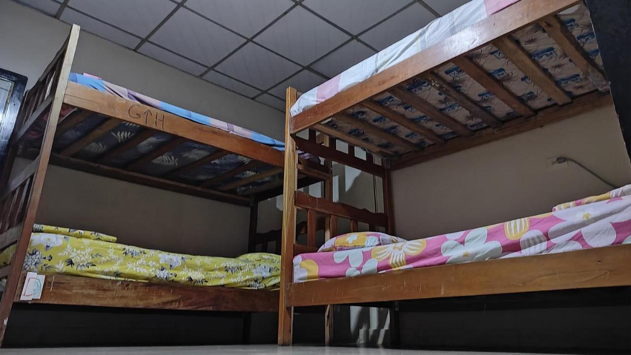 דויד Bambu Hostel מראה חיצוני תמונה