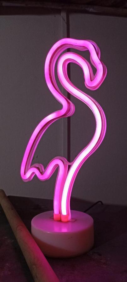 דויד Bambu Hostel מראה חיצוני תמונה