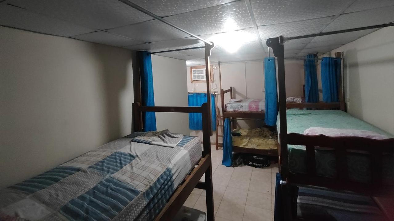 דויד Bambu Hostel מראה חיצוני תמונה