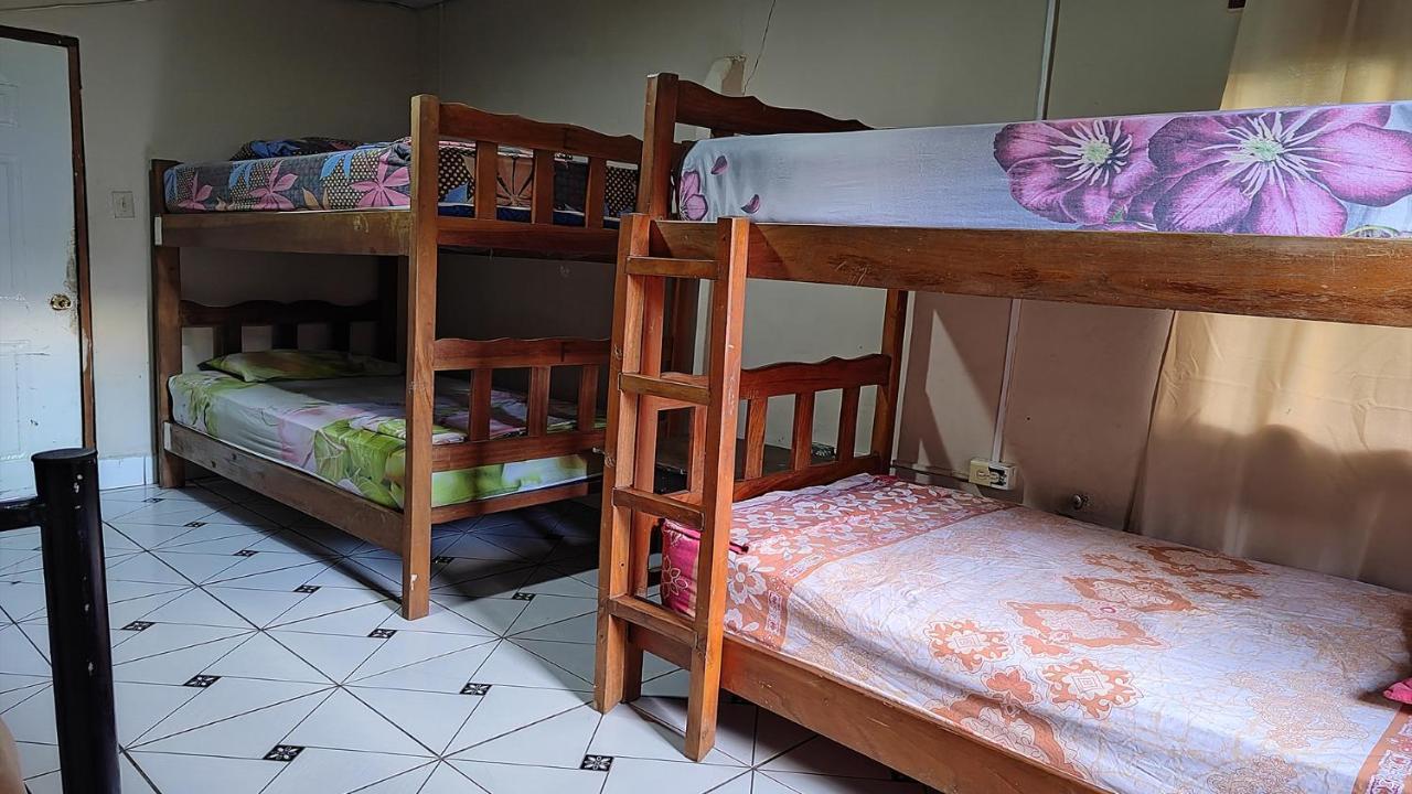 דויד Bambu Hostel מראה חיצוני תמונה