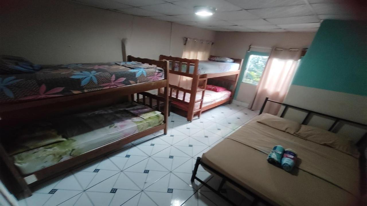 דויד Bambu Hostel מראה חיצוני תמונה