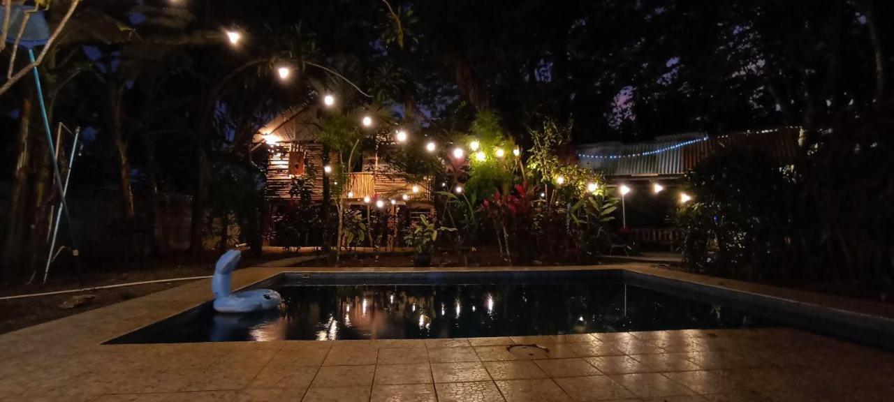 דויד Bambu Hostel מראה חיצוני תמונה