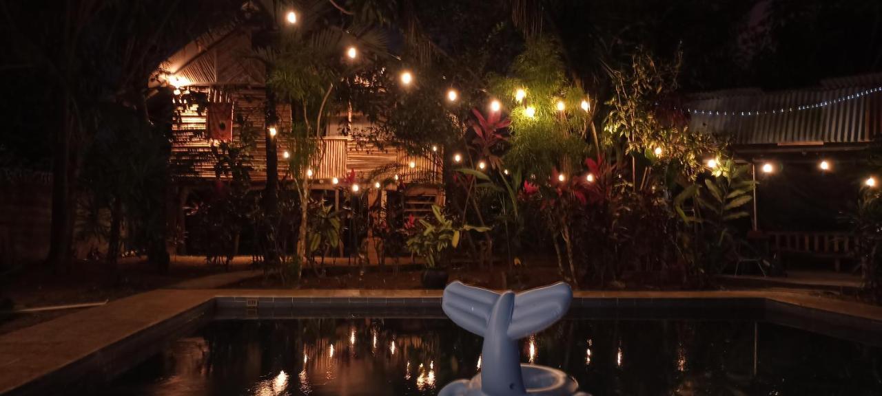 דויד Bambu Hostel מראה חיצוני תמונה